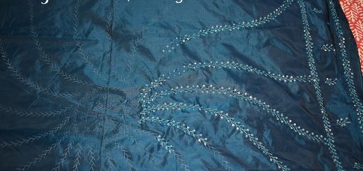 Embroidery on saree