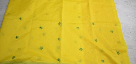 Embroidered saree