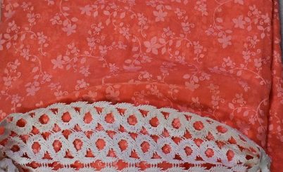 Designer lace saree