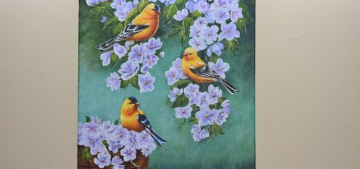 Acrylic painting - birds