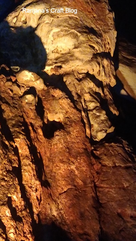 Borra caves